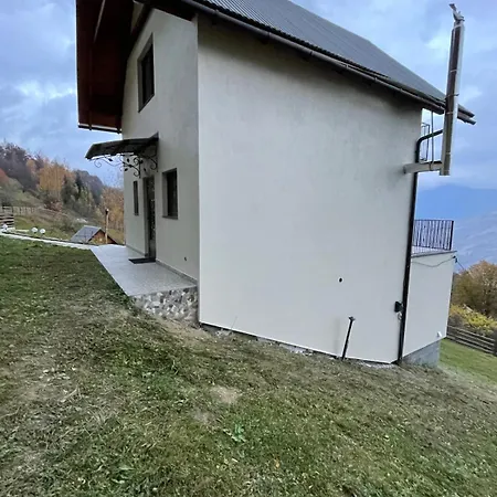 двійня *