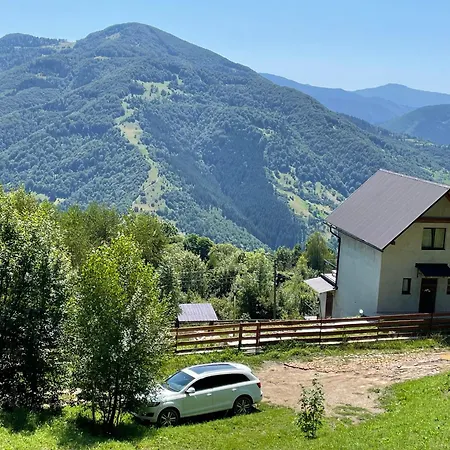 двійня